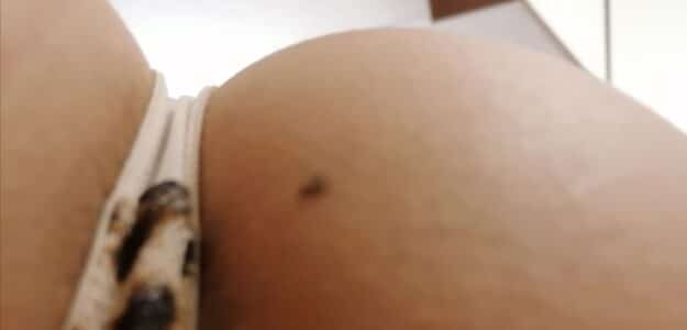 Manu's Welt